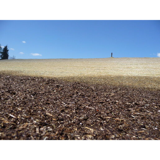 ECB Verdyol Biotic Earth Black Soil Ammendment 50 lb. Bag | SiteOne US